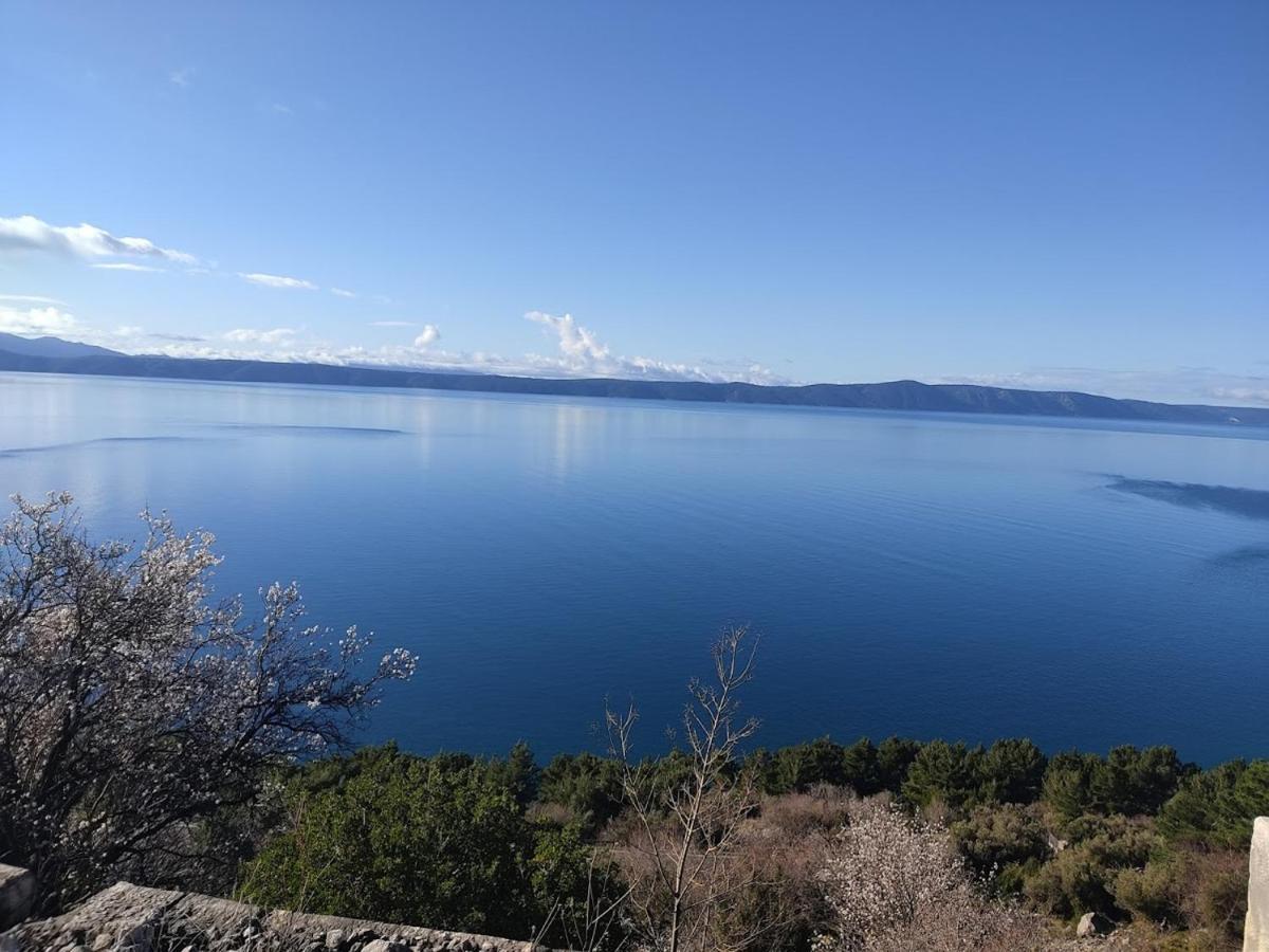 Apartman Krzenic With Sea View Podgora Zewnętrze zdjęcie